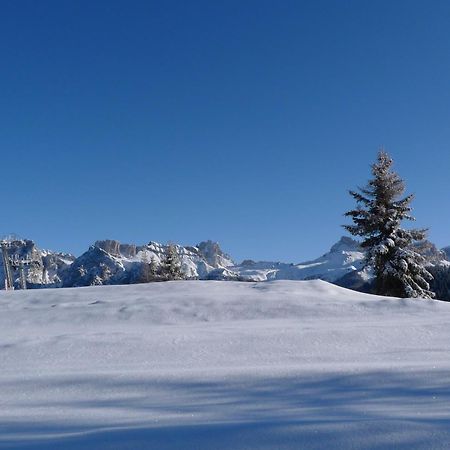 Appartamenti Regina Alleghe Buitenkant foto