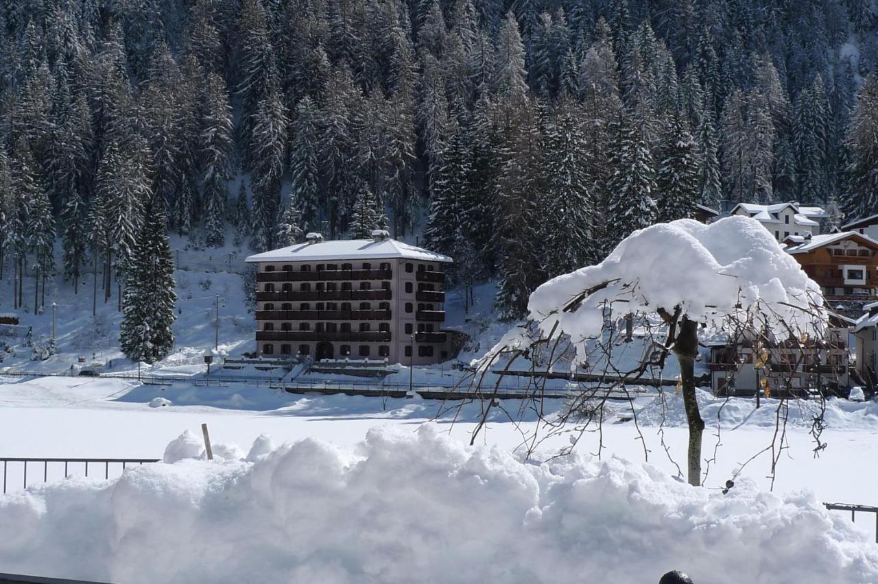 Appartamenti Regina Alleghe Buitenkant foto