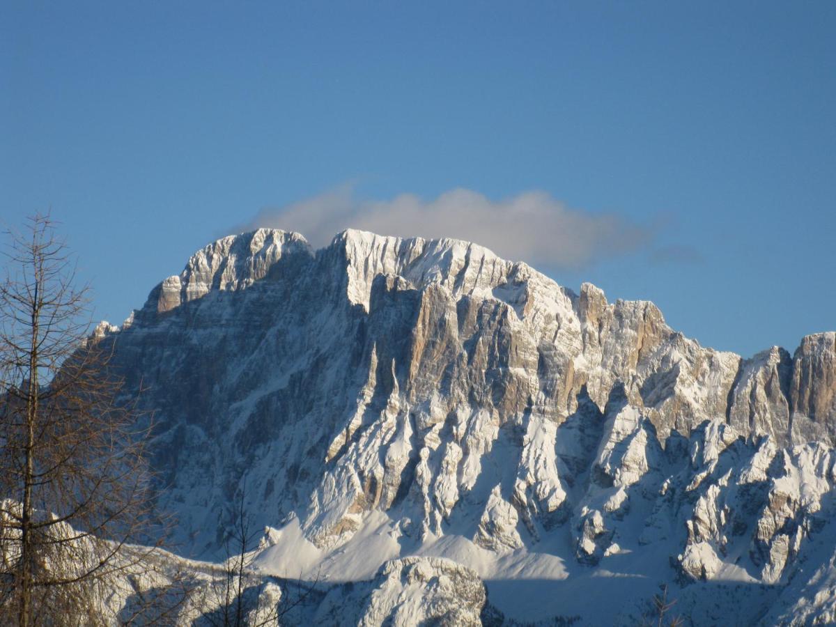 Appartamenti Regina Alleghe Buitenkant foto